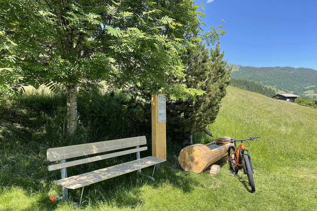 BIKETOUR